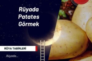 Rüyada Patates Görmek |  Rüyada Patates Görmek Ne Anlama Gelir?