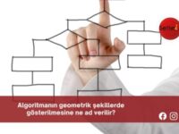 Algoritmanın geometrik şekillerde gösterilmesine ne ad verilir?