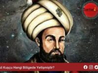 Ali Kuşçu Hangi Bölgede Yetişmiştir