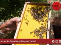 Arıcılık En Fazla Hangi Bölgede Yapılır