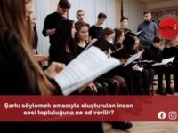 Şarkı söylemek amacıyla oluşturulan insan sesi topluluğuna ne ad verilir?