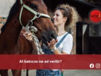 At bakıcısı ne ad verilir?