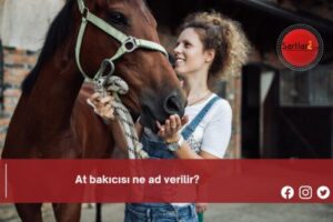 At bakıcısı ne ad verilir?