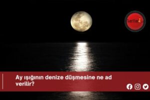 Ay ışığının denize düşmesine ne ad verilir?