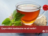 Çayın etkin maddesine ne ad verilir?