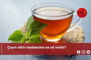 Çayın etkin maddesine ne ad verilir?