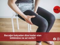 Bacağın kalçadan dize kadar olan bölümüne ne ad verilir?