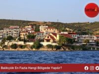 Balıkçılık En Fazla Hangi Bölgede Yapılır