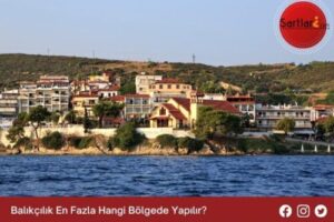 Balıkçılık En Fazla Hangi Bölgede Yapılır