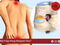 Bel Fıtığı Hangi Bölgede Olur