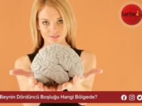 Beynin Dördüncü Boşluğu Hangi Bölgede