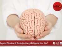 Beynin Dördüncü Boşluğu Hangi Bölgede Yer Alır