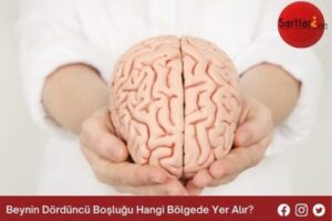 Beynin Dördüncü Boşluğu Hangi Bölgede Yer Alır