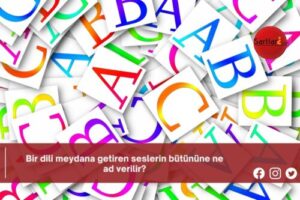 Bir dili meydana getiren seslerin bütününe ne ad verilir?