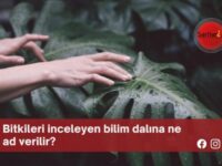 bitkileri inceleyen bilim dalına ne ad verilir