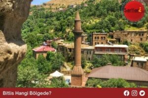 Bitlis Hangi Bölgede
