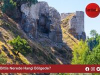 Bitlis Nerede Hangi Bölgede