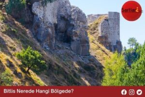 Bitlis Nerede Hangi Bölgede