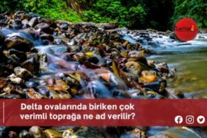 Delta ovalarında biriken çok verimli toprağa ne ad verilir?