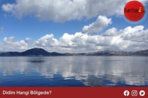 Didim Hangi Bölgede