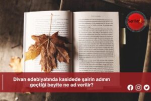 Divan edebiyatında kasidede şairin adının geçtiği beyite ne ad verilir?