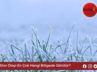 Don Olayı En Çok Hangi Bölgede Görülür