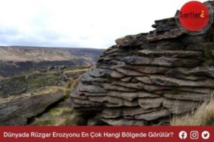 Dünyada Rüzgar Erozyonu En Çok Hangi Bölgede Görülür