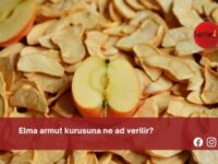 Elma armut kurusuna ne ad verilir?