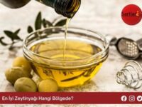 En İyi Zeytinyağı Hangi Bölgede