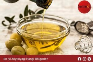 En İyi Zeytinyağı Hangi Bölgede