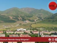 Erzurum Nerede Hangi Bölgede