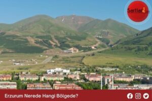 Erzurum Nerede Hangi Bölgede