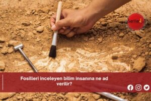 Fosilleri inceleyen bilim insanına ne ad verilir?