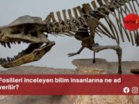 Fosilleri inceleyen bilim insanlarına ne ad verilir?