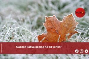 Gazdan katıya geçişe ne ad verilir?