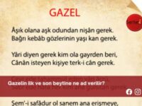 Gazelin ilk ve son beytine ne ad verilir?