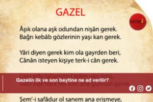 Gazelin ilk ve son beytine ne ad verilir?