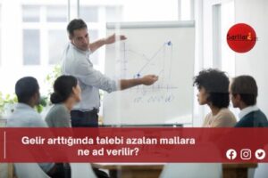 Gelir arttığında talebi azalan mallara ne ad verilir?