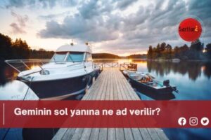 Geminin sol yanına ne ad verilir?