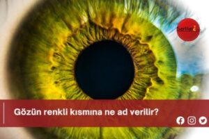 Gözün renkli kısmına ne ad verilir?