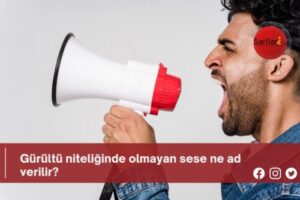 Gürültü niteliğinde olmayan sese ne ad verilir?