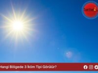 Hangi Bölgede 3 İklim Tipi Görülür