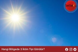 Hangi Bölgede 3 İklim Tipi Görülür