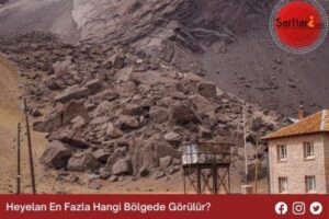 Heyelan En Fazla Hangi Bölgede Görülür