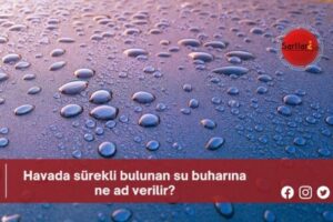 Havada sürekli bulunan su buharına ne ad verilir?