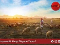 Hayvancılık Hangi Bölgede Yapılır