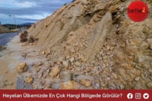 Heyelan Ülkemizde En Çok Hangi Bölgede Görülür