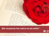 Şiiri oluşturan her satıra ne ad verilir?