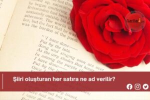 Şiiri oluşturan her satıra ne ad verilir?