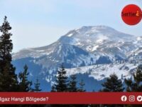 Ilgaz Hangi Bölgede